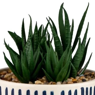 B&M Scandi Shore Stripe Succulent - Image 2
