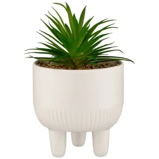 B&M Scandi Shore Succulent In White Pot