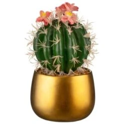 B&M Lush Paradise Cactus In Gold Pot