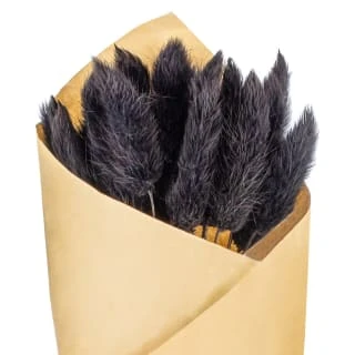 B&M Dried Black Bunny Tail Bunch - Image 2