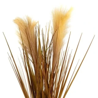 B&M Pampas Grass In Stone Pot - Neutral - Image 2