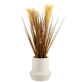 B&M Pampas Grass In Stone Pot - Neutral