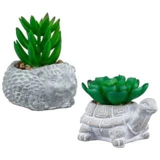 Bloom Mini Animal Succulent - Hedgehog - Image 2