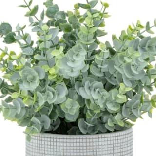 Bloom Eucalyptus In Cement Pot - Image 2