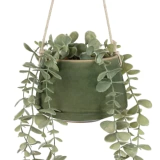 B&M Hanging Foliage In Green Ceramic Pot - Image 2