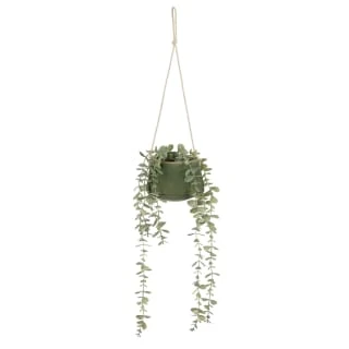 B&M Hanging Foliage In Green Ceramic Pot