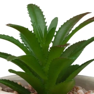 B&M Assorted Embossed Pots - Image 6