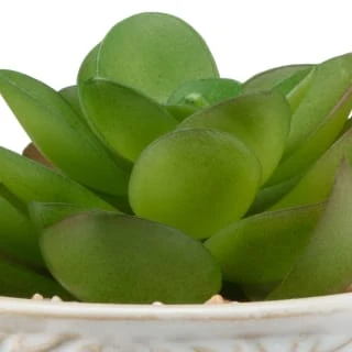 B&M Assorted Embossed Pots - Image 7